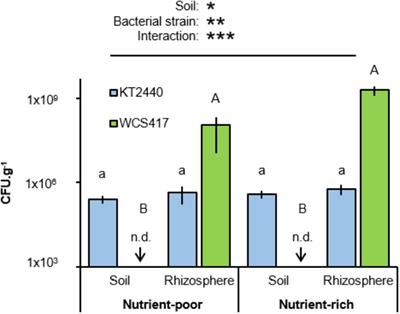 Impacts of Atmospheric CO2 and Soil Nutritional Value on Plant Responses to Rhizosphere Colonization by Soil Bacteria